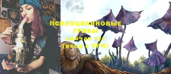 apvp Балабаново